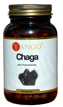 Chaga extract, 90 capsules, for stomach, intestinal tumors, skin cancer, lung cancer, for the liver, pancreas